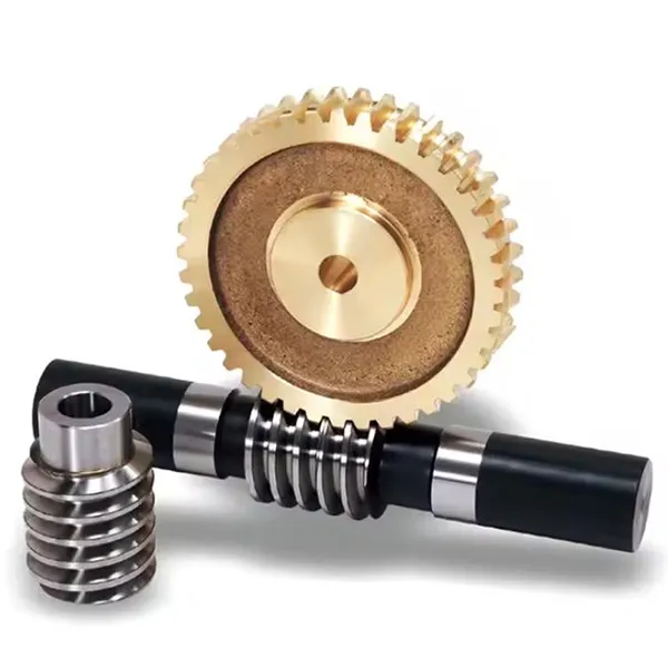 Duplex Worms Gear