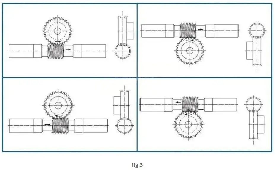Duplex Worms Gear