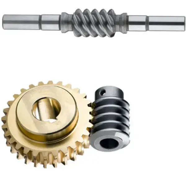 Duplex Worms Gear